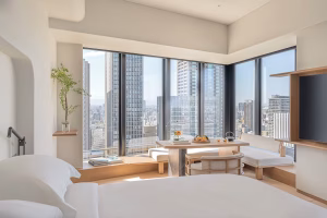 room view of the four seasons hotel in osaka