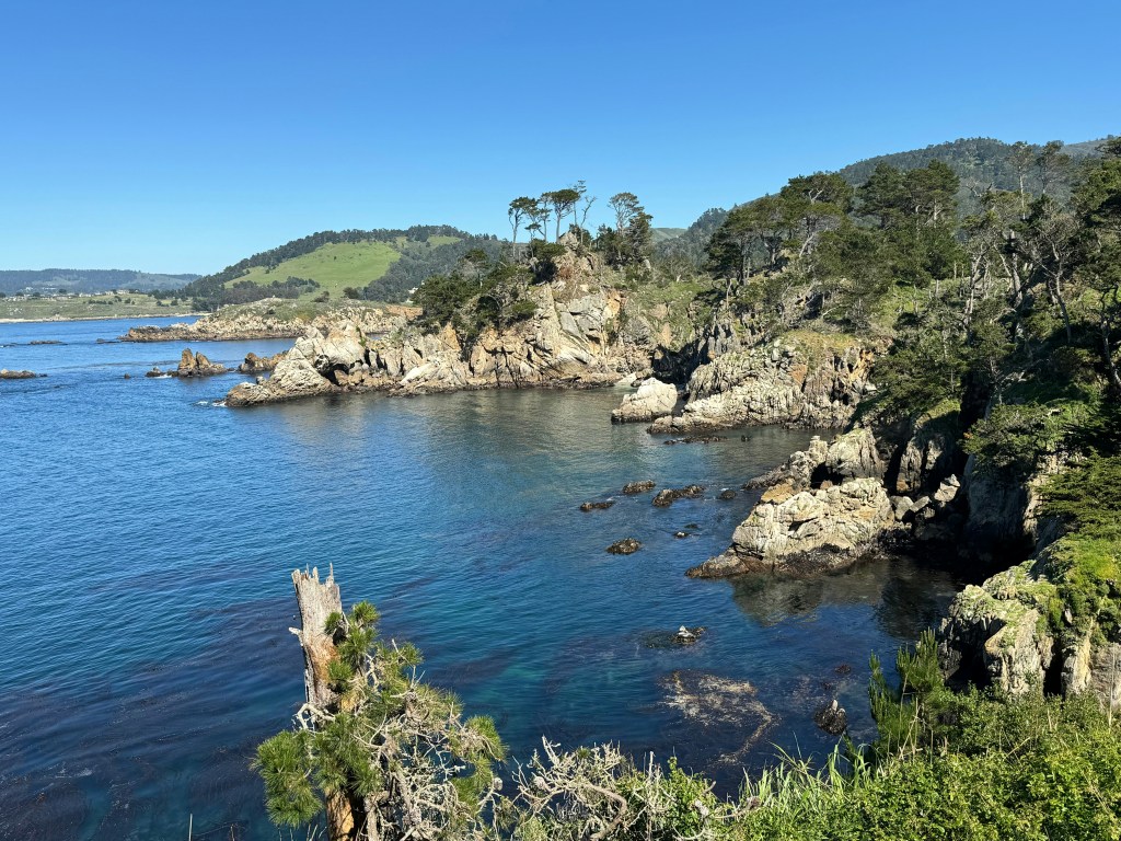 Discover the Top 20 Best Beaches in California