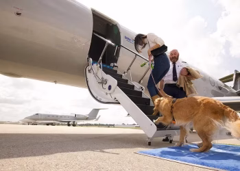 dogs boarding private jet